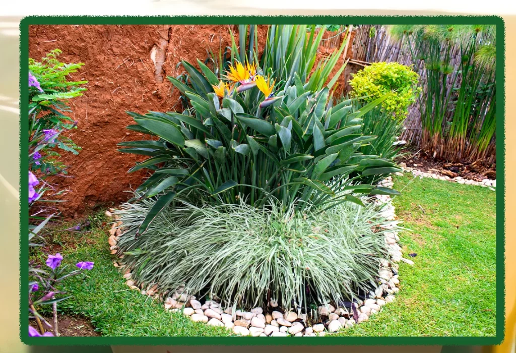 jardineria profesional