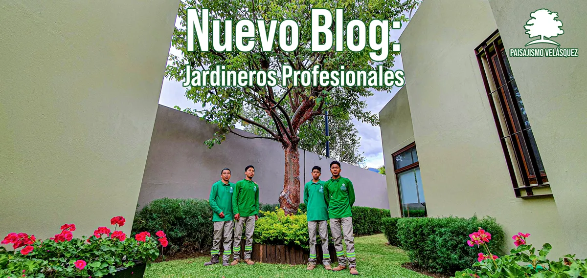 Jardinero profesional