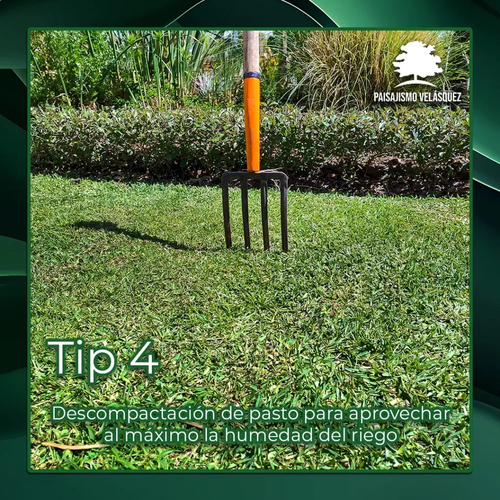 Tip 4: Descompactación de Pasto para Aprovechar la Humedad del Riego